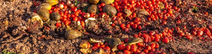 lutte contre le gaspillage alimentaire symbolisée par un tas de déchets alimentaire
