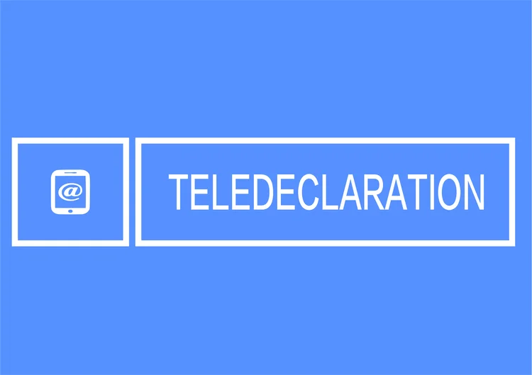Télédeclaration picto Télédeclaration